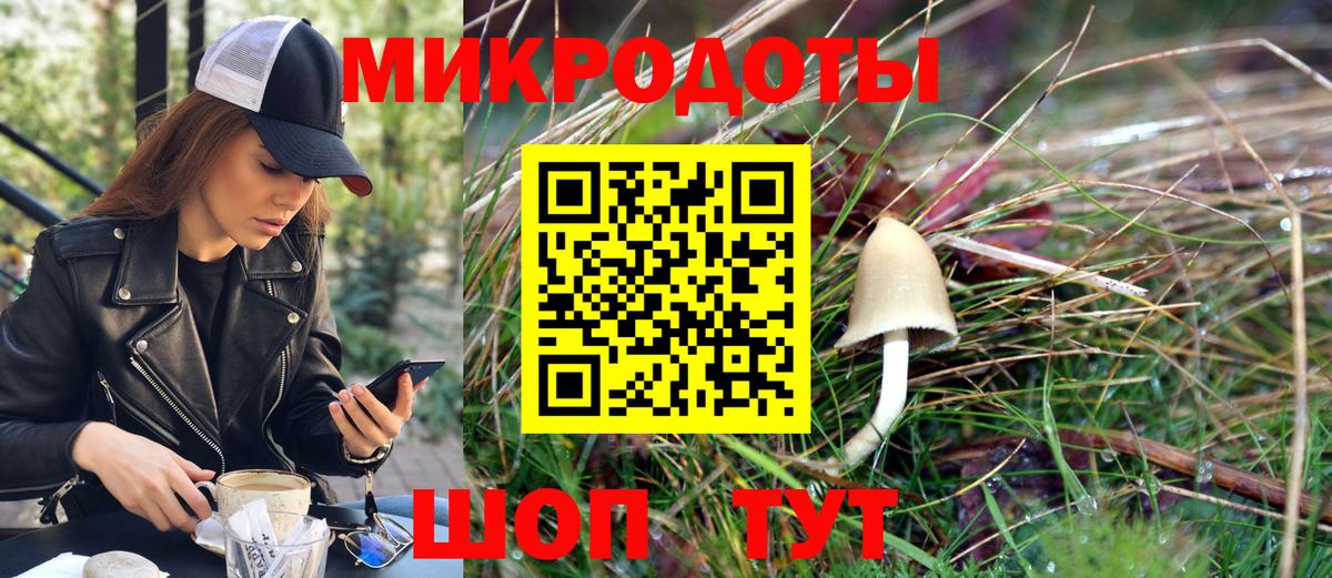 Волгоград  Псилоцибиновые грибы Magic Shrooms  Вход с VPN  магазин продажи   Псилоцибиновые грибы Magic Shrooms 
